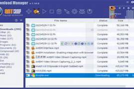 Ant Download Manager Pro 2